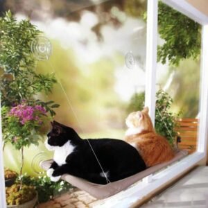 Cat Hammock